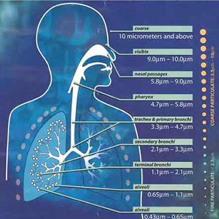 Schaubild Halotherapie